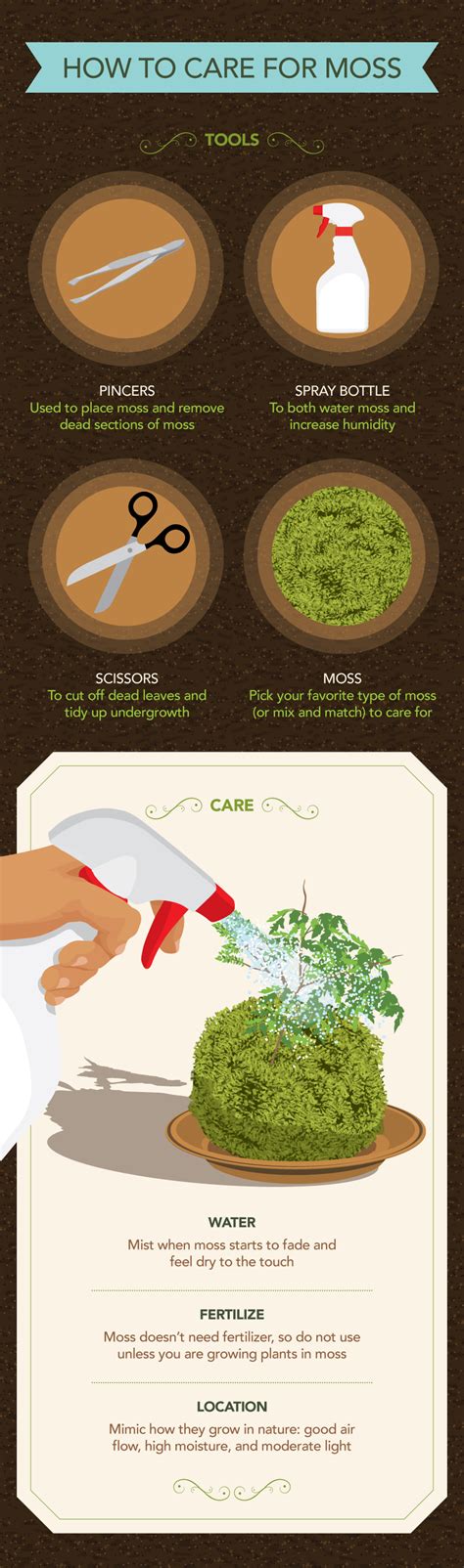 The Benefits Of Moss In Your Garden Add Some Character To Your Garden