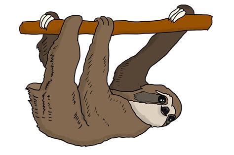 Green cartoon alien peeking around a sign. Sloth Tree Hanging · Free image on Pixabay