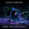 Dhani Harrison, Damn That Frequency (Single) in High-Resolution Audio ...