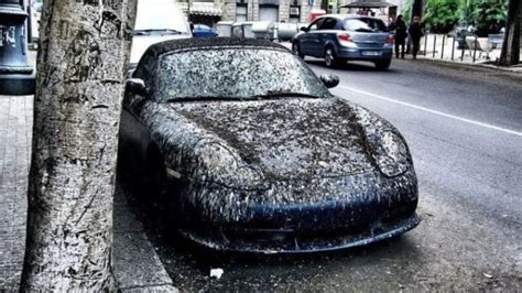 Car Covered With Bird Poop