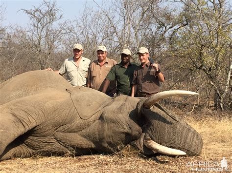 Elephant Hunting South Africa