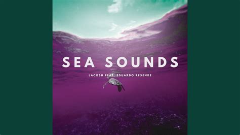 Sea Sounds Youtube