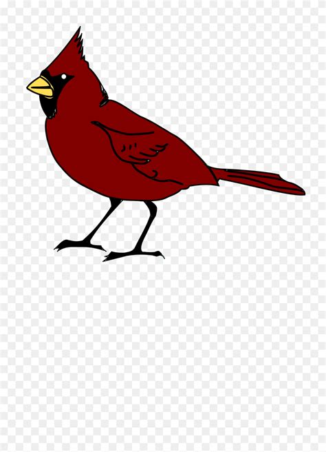 Clipart Cardinal Winter Bird Clipart Stunning Free Transparent Png