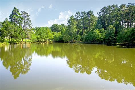 Free Images Tree Nature Sky Leaf Lake River Green Reflection