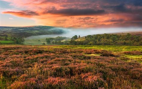 Why You Should Visit The North York Moors Right Now