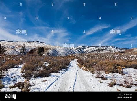Winter Scene On The West Side Of Carson City Nevada Stock Photo Alamy