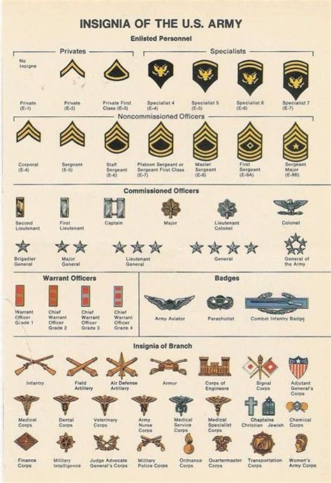12 Best Military Rank Structure Charts Images On Pinterest