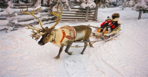 Enjoy Christmas In Finland A Traditional Finnish Experience