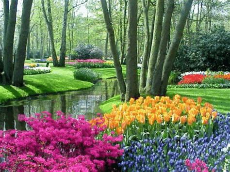 ♥ Beautiful Flowers Garden Beautiful Gardens Beautiful Places