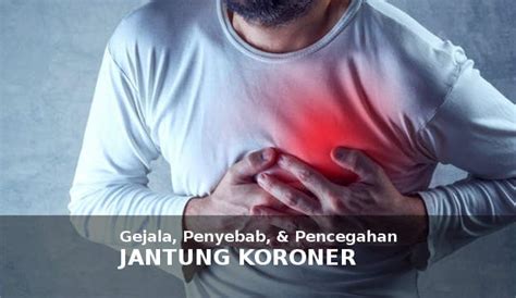 Organ jantung tidak bisa dipisahkan dari darah. Penyakit Jantung Koroner (CAD): Gejala, Penyebab, & Cara ...