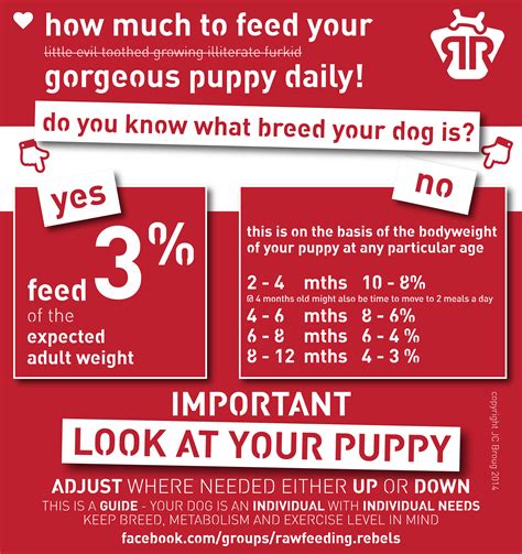 Start your pet's raw food journey with our quick and easy food cost calculator. Feeding Your Puppy - Rawfeeding Rebels