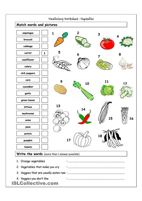 Vocabulary Matching Worksheet Vegetables Vocabulary Worksheets