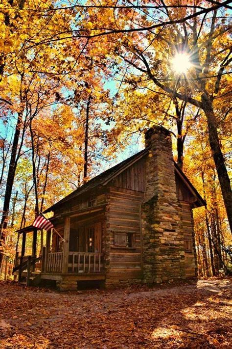 Pretty Little Cabin In The Woods Surrounded By Autumn Colour Cottage