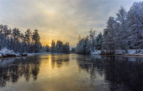 Wallpaper Winter Frost Forest The Sky The Sun Light Snow Lake
