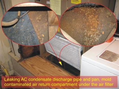 Furnace Ac Seasonal Inspection Do You Trust Your Hvac Guy