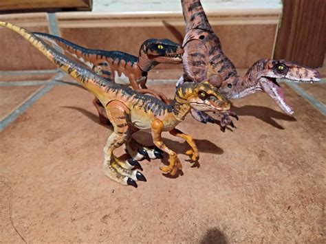 105 Best Raptor Squad Images On Pholder Torontoraptors Jurassic Park And Warhammer40k