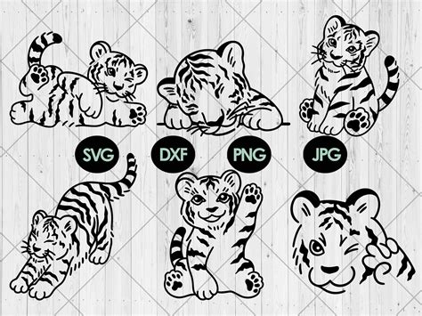 Cute Tiger Svg Bundle Baby Tiger Svg Graphic By Newhopestore