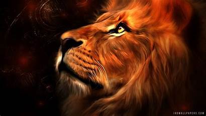 Lion Ihd Wallpapers