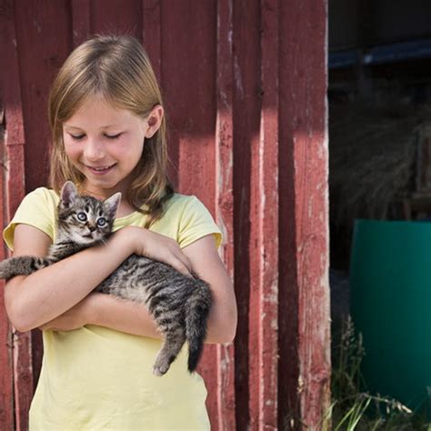 Om Katter Med Barn Inom Området Katt Agria Djurförsäkring