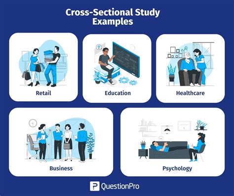 Cross Sectional Research Definition Examples Quiz Best Adult Photos