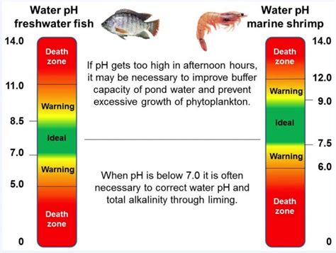The Oft Overlooked Water Quality Parameter Ph Responsible Seafood