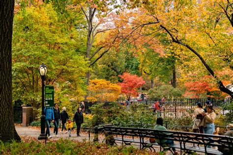 15 Fascinating Facts About Central Park That May Surprise You