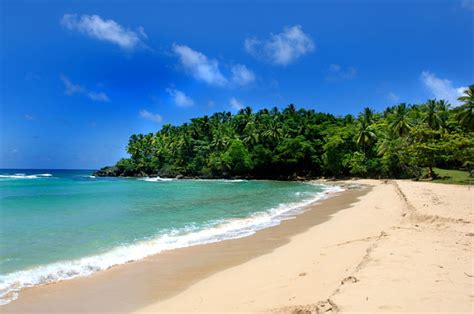 Playa De Cabarete En Republica Dominicana