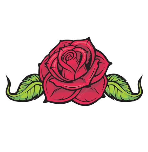 Premium Vector Red Rose