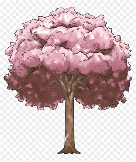 Cherry Blossom Tree Cherry Blossom Anime Tree Drawing Hd Png