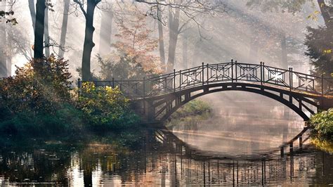 Download Wallpaper Forest River Trees Bridge Free Desktop Wallpaper