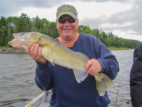 Walleye Fishing In Canada With Live Minnows