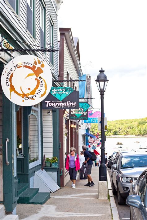 Curated Travel 10 Must Dos In Bar Harbor Maine Wild Blueberry Barren