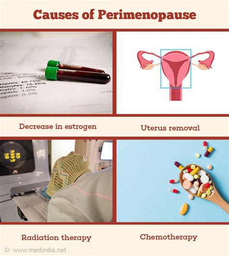 perimenopause causes symptoms diagnosis and treatment