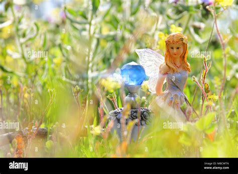 Image Of Magical Little Fairy In The Forest Stock Photo Alamy