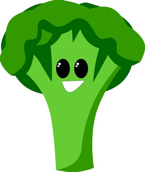 Broccoli Gezond Voeding Gratis Afbeelding Op Pixabay Pixabay