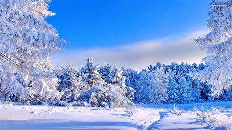 Sunny Winter Day Wallpapers Wallpaper Cave