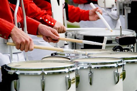 Best Snare Drum Stock Photos Pictures And Royalty Free Images Istock