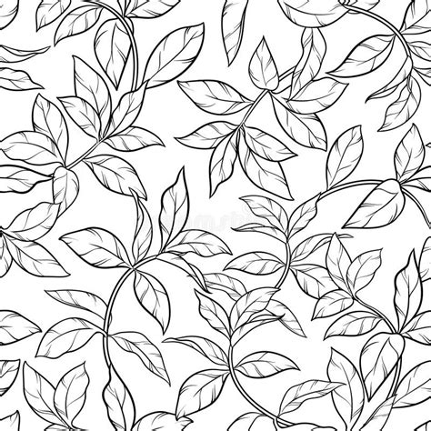 Tea Leaves Seamless Pattern Stock Vector Illustration Of Nature