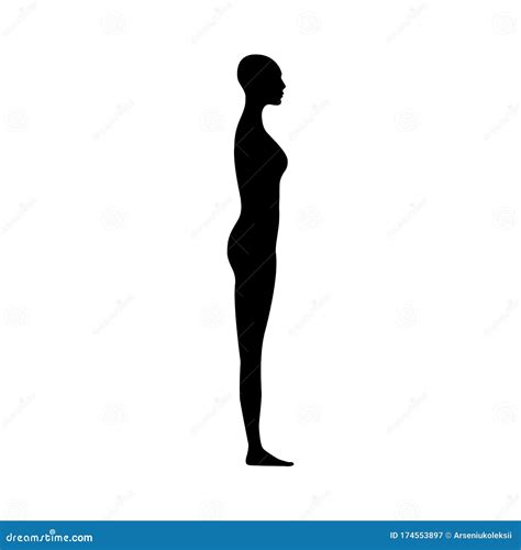 Side View Of Female Body Silhouette Stock Vector Illustration Of Head