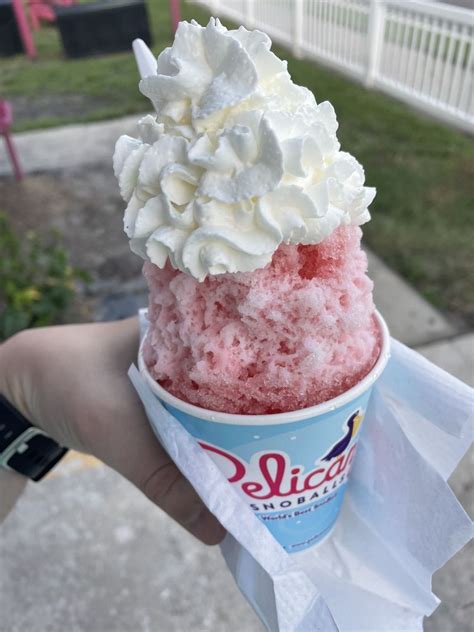 Pelicans Snoballs Updated April Photos Idlewild Ave Green Cove Springs