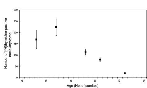 Age Dependent Decrease In Generation Of Post Mitotic Second Wave