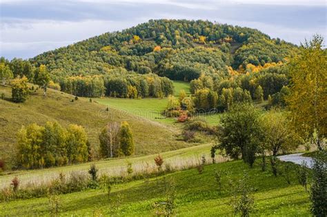 Green Valley In The Mountains Yellow Plateau In Autumn Stock Image