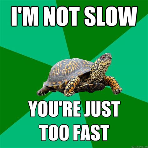 Slow Fast Meme Humoursan