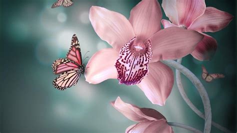 Butterfly Spring Wallpapers Wallpaper Cave