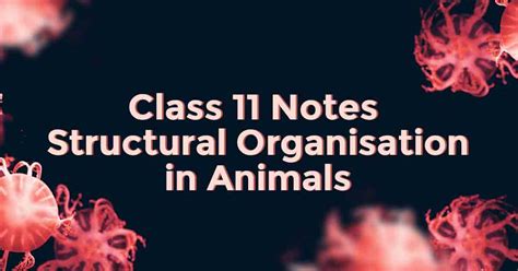 Structural Organization In Animals Class 11 Notes Vidyakul
