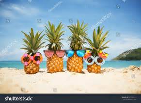Funny quotes file hosting funny videos. Family Funny Attractive Pineapples Stylish Sunglasses ...