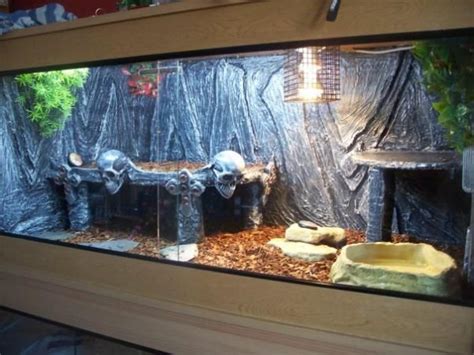 We give diamond the bearded. Bearded Dragon Viv | Bearded dragon diy, Vivarium, Bearded dragon