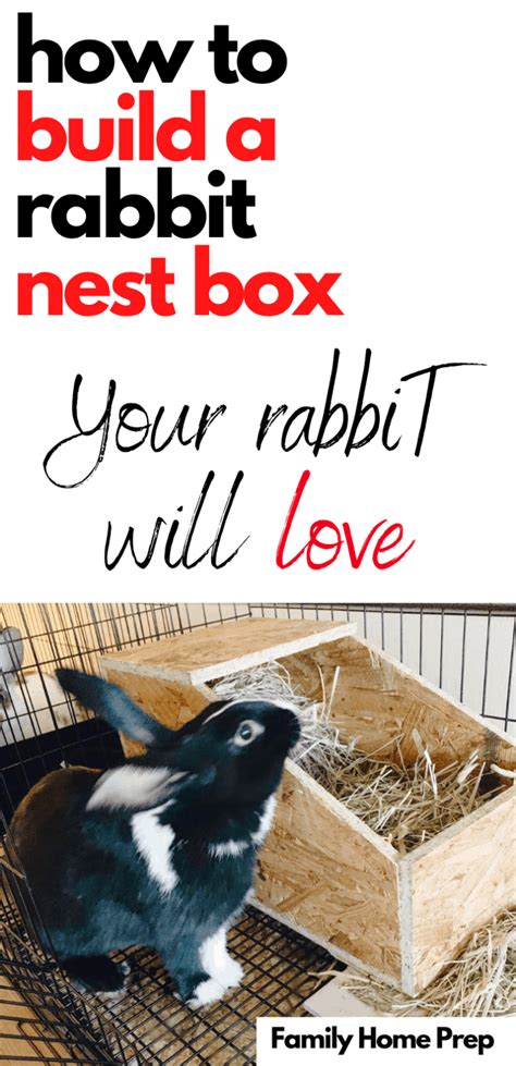 How To Build A Rabbit Nest Box Easy Steps