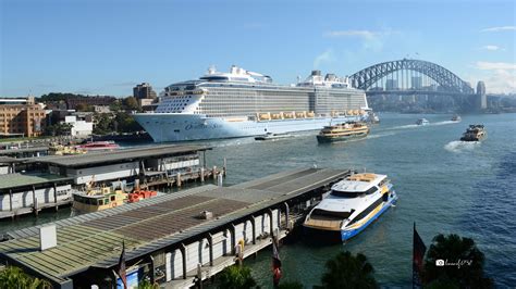 Ovation Of The Seas Docked In Sydney Harbour Australia By Lonewolf6738