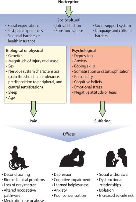 Chronic Pain An Update On Burden Best Practices And New Advances